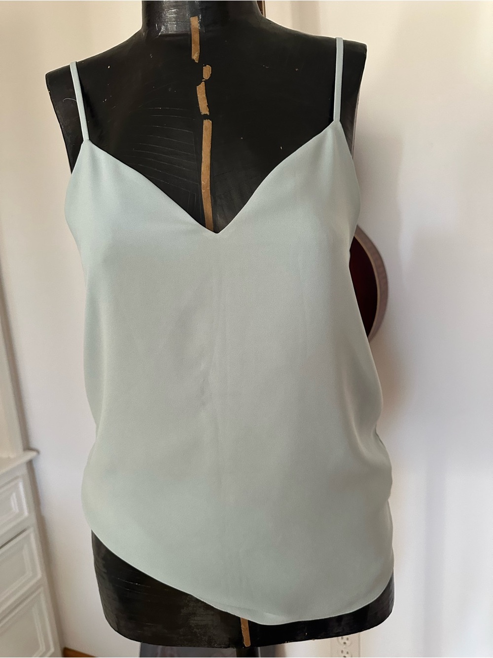 Aritzia Babaton Everly Camisole